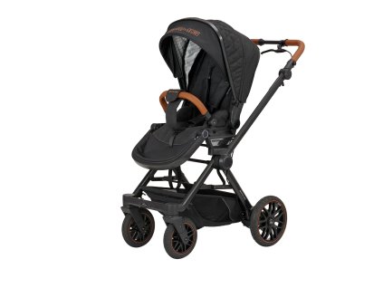 2414 259 622 amg gt ansicht schrag