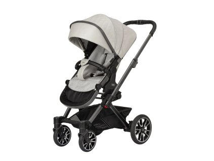 2410 256 615 mercedes benz avangarde gtx ansicht schrag