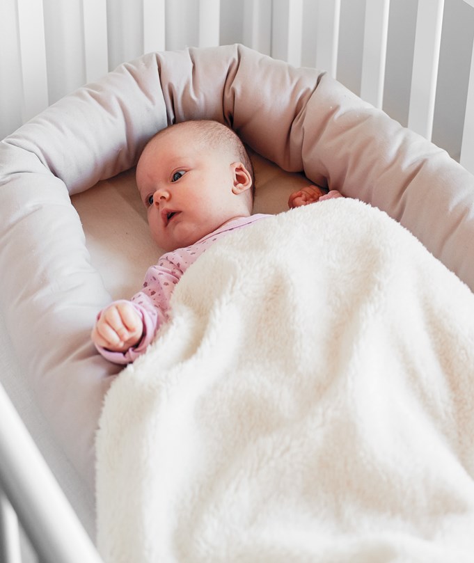 Baby Dan Baby Dan hnízdečko Cuddle Nest, baby Pink" "Barva:růžové|Druh:hnízdečko|