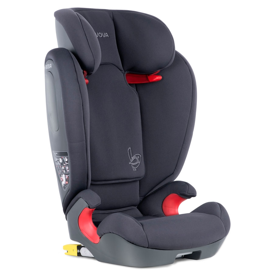 Avova Star-fix 2024 Koala Grey