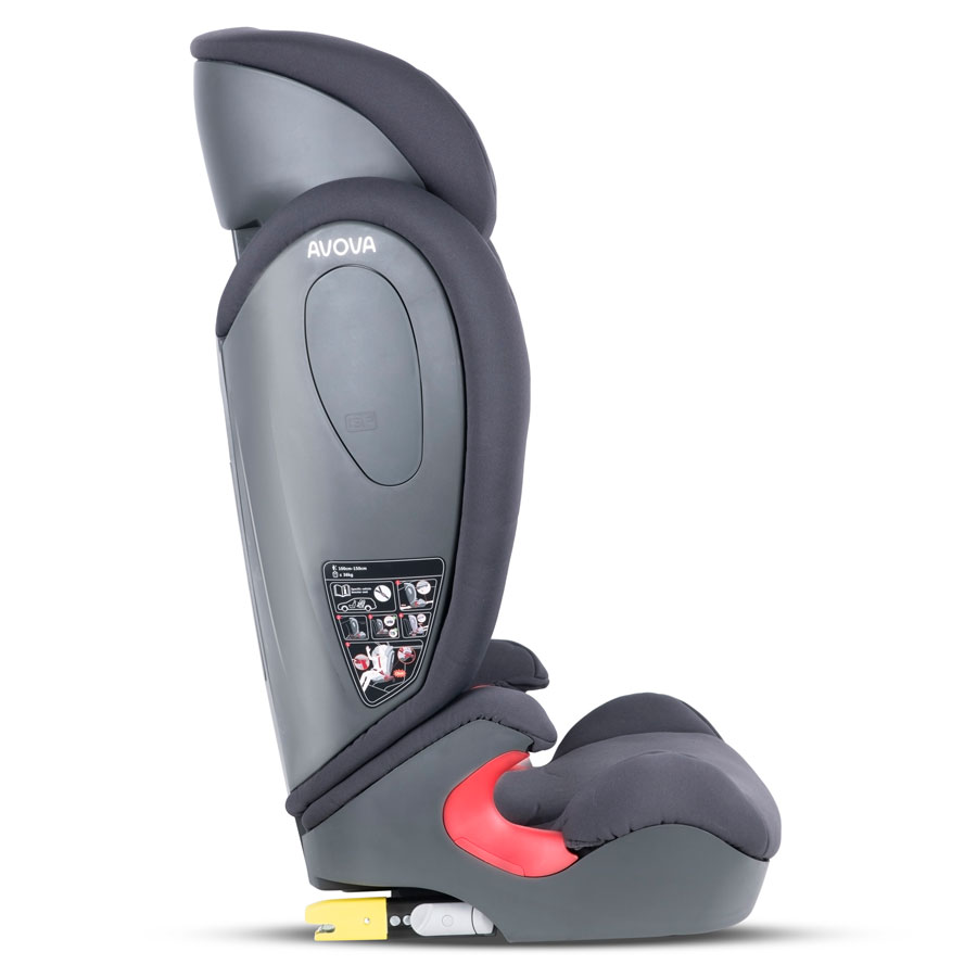 Avova Star-fix 2024 Koala Grey