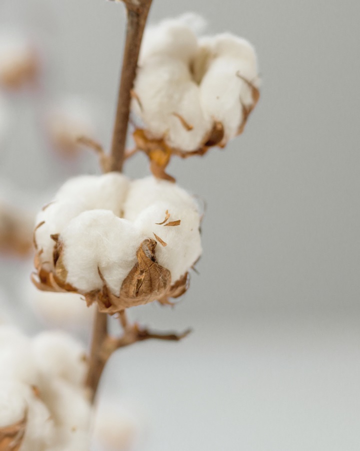 Inglesina Inglesina hudební lehátko Element Paper Blue" "Barva:modré|Eko:ano|Nosnost:9 kg|Požadované vlastnosti:Nastavitelné|Určení:pro kluky i holky|