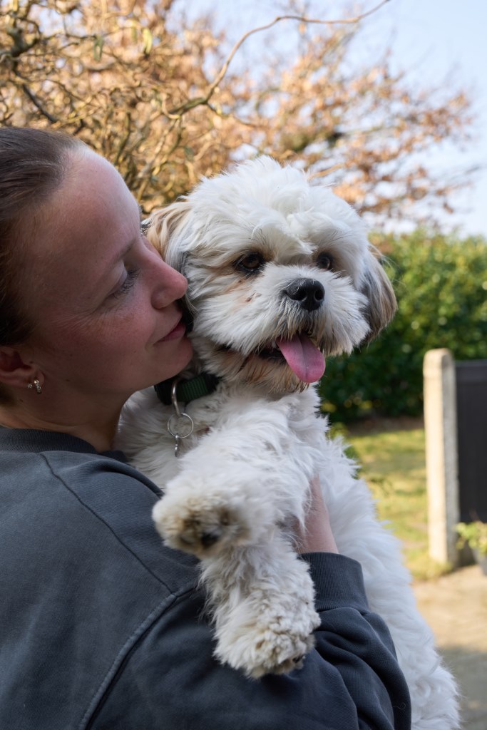 DogSpace DogSpace Lucky prodlužovací brána, kovová bílá" "Barva:bílé|Typ:zábrany|