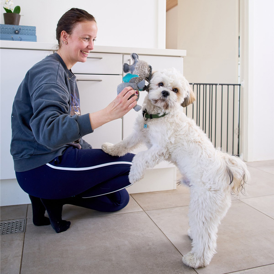 DogSpace DogSpace Lucky prodlužovací brána, kovová, černá" "Barva:černé|Typ:zábrany|