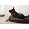 DogSpace creating room for your dog (12) (300)