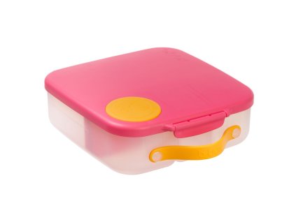 Svačinový box velký