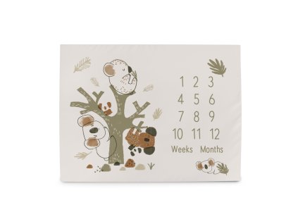CEBA BABY Podložka míľniková na fotenie (92x72) Basic Koala