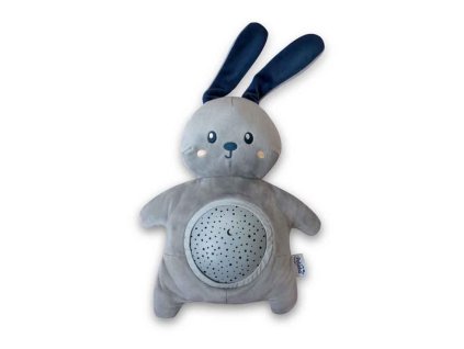 PSP01 RABBIT