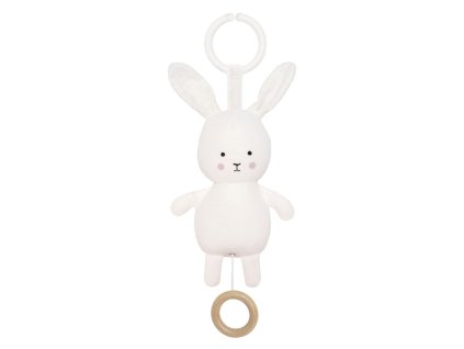 n0136 musical bunny