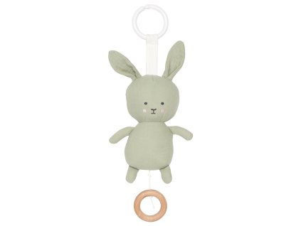 687 a5bb7ce12f k121 musical green bunny full
