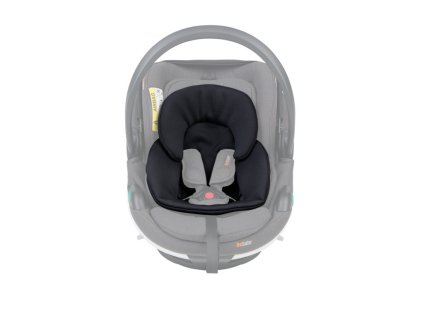 BeSafe Preemie Inlay