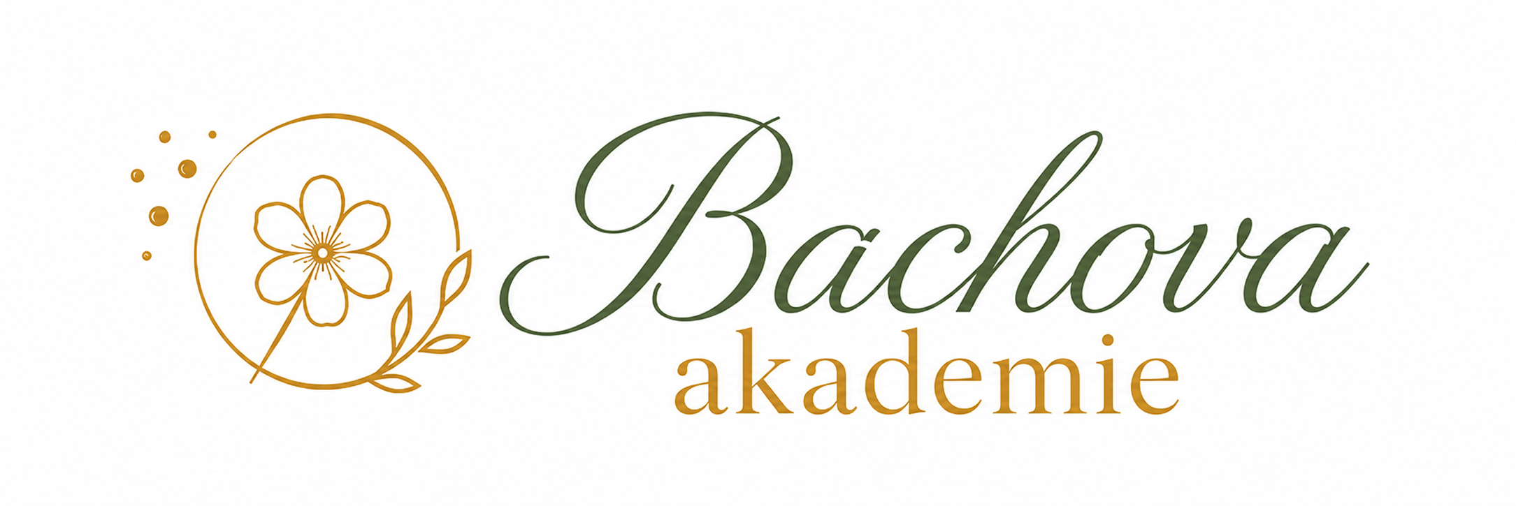 Bachova Akademie