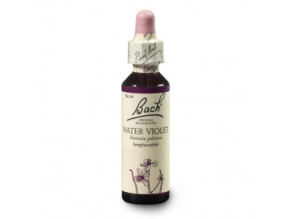 water violet new