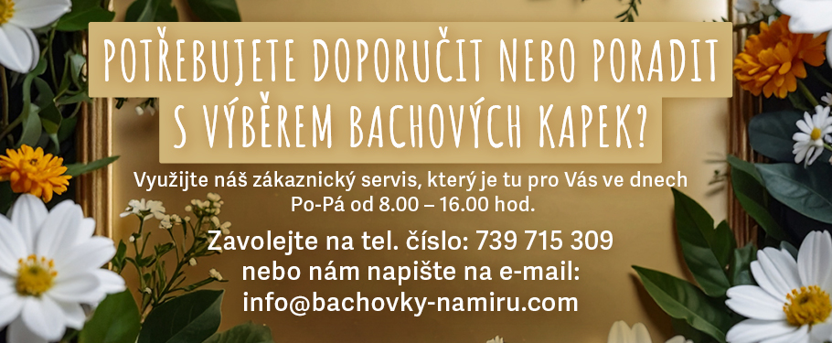 Zákaznický servis a podpora