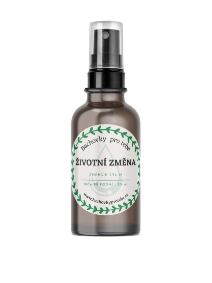 životní změna