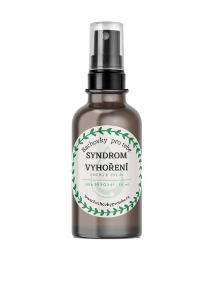 syndrom vyhoreni