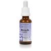 Strach u psa Bachovy esence alkalické 30 ml