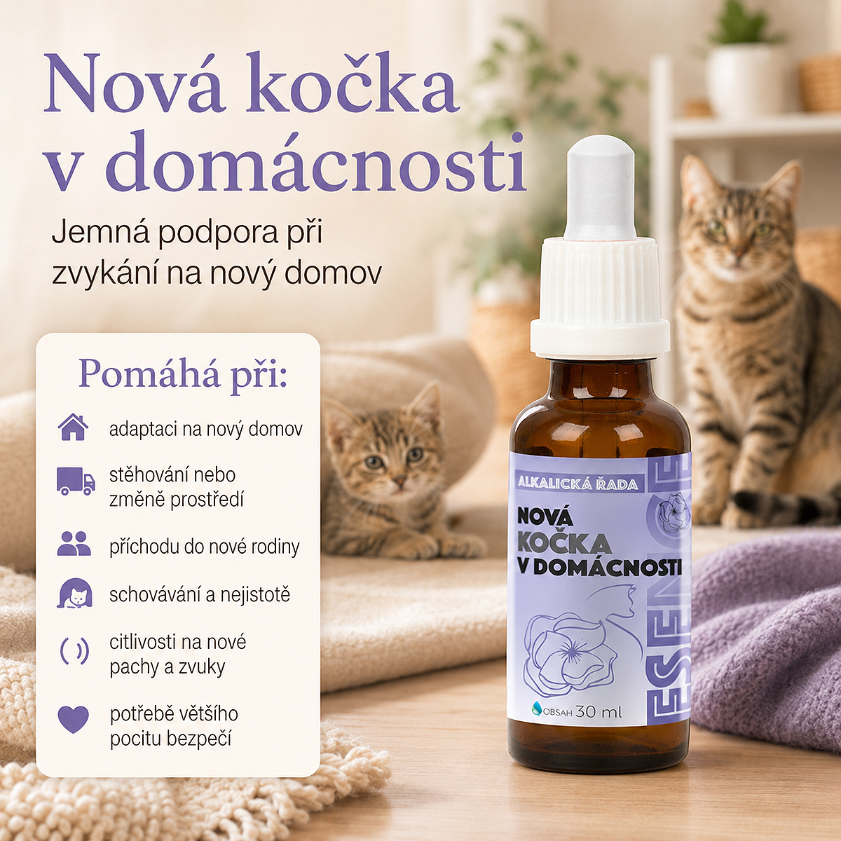 Nová kočka v domácnosti a konflikty mezi kočkami