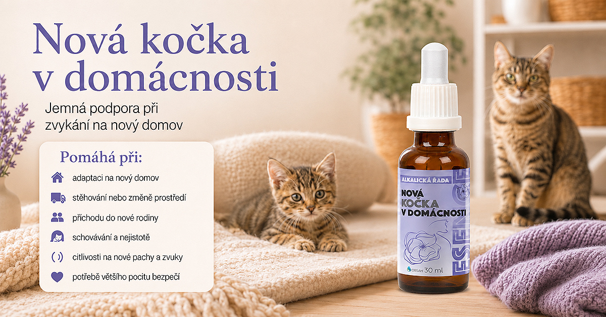 nova-kočka-v-domacnosti-bachovy-esence-1200x628
