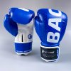 Taekwon - do ITF boxerské rukavice - BackFist Gemini modré