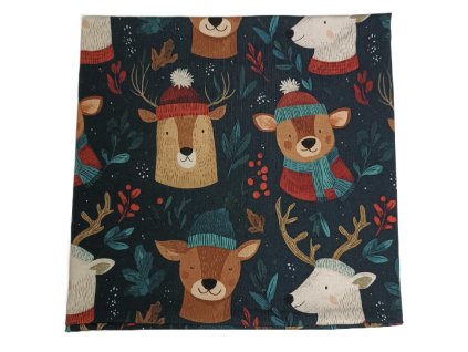 Snímek obrazovky 2025 10 23 v 6.27.53