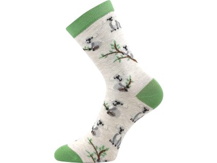 057 21 43 XVII koala