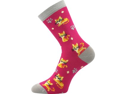 057 21 43 XVII kočky