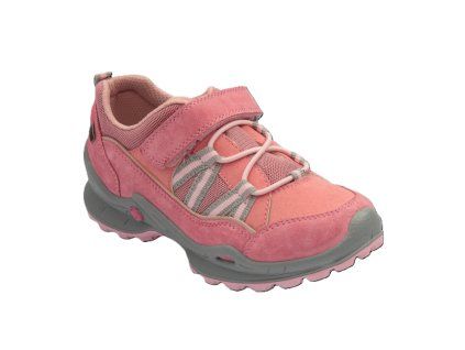 Santé IC131828 gerganio