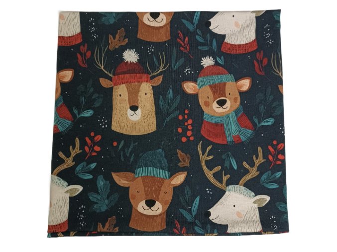 Snímek obrazovky 2025 10 23 v 6.27.53