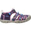 65030 4 keen seacamp daisies marina