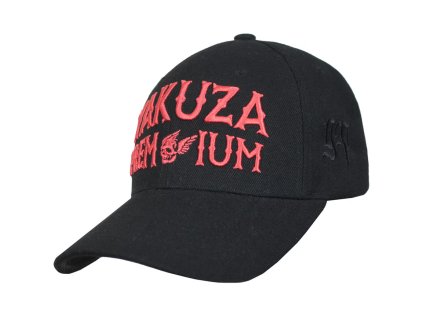 Snímek obrazovky 2025 11 21 133727