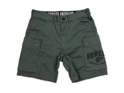 3654 front dark olive