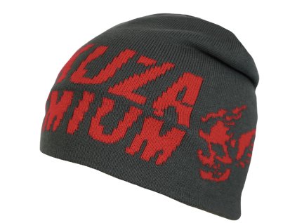 Snímek obrazovky 2024 12 20 v 22.31.23