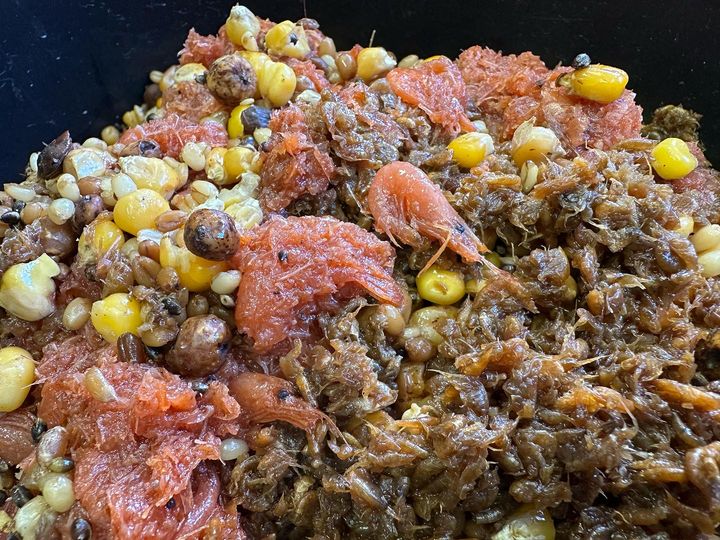 Novinka na sezonu 2024