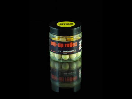 citrus pop-up v esenci