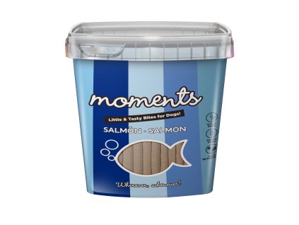 8437002535582 MomentsBarritasSalmonFrontal