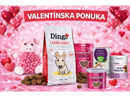 ChatGPT Image 6. 2. 2026, 12 22 38