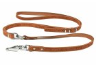 Leashes for dogs