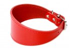 GREYHOUNDS collars