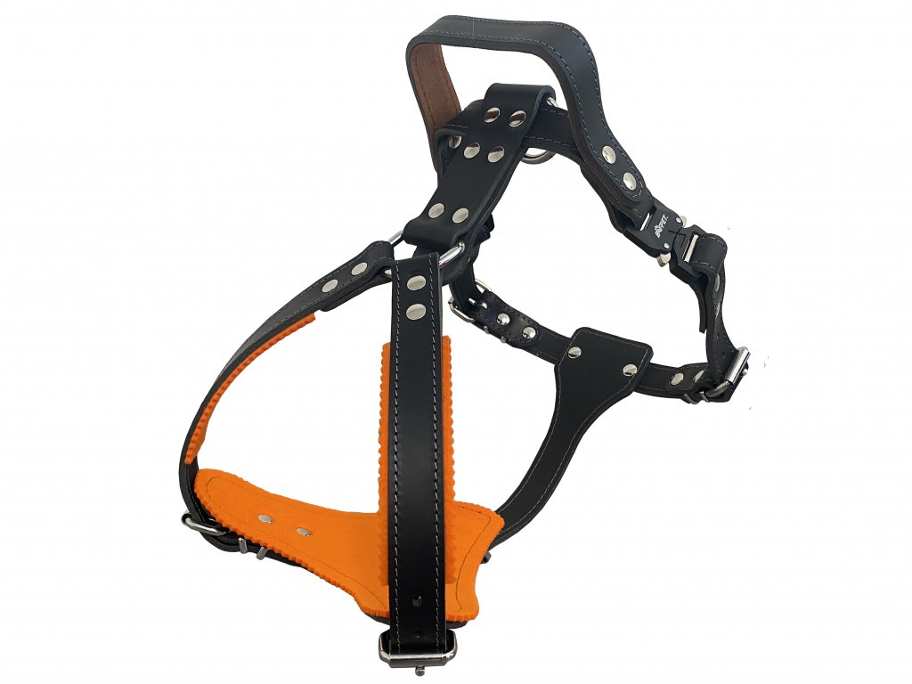 Dog ear best sale harness