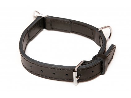 BAFPET leather collar