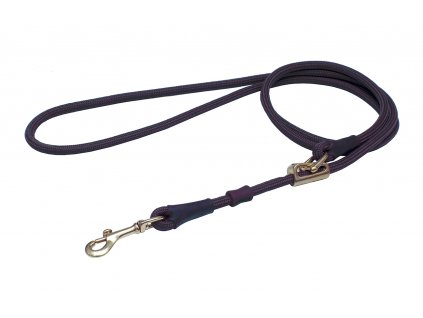 BAFPET Leash rope and leather, bronze. carbine
