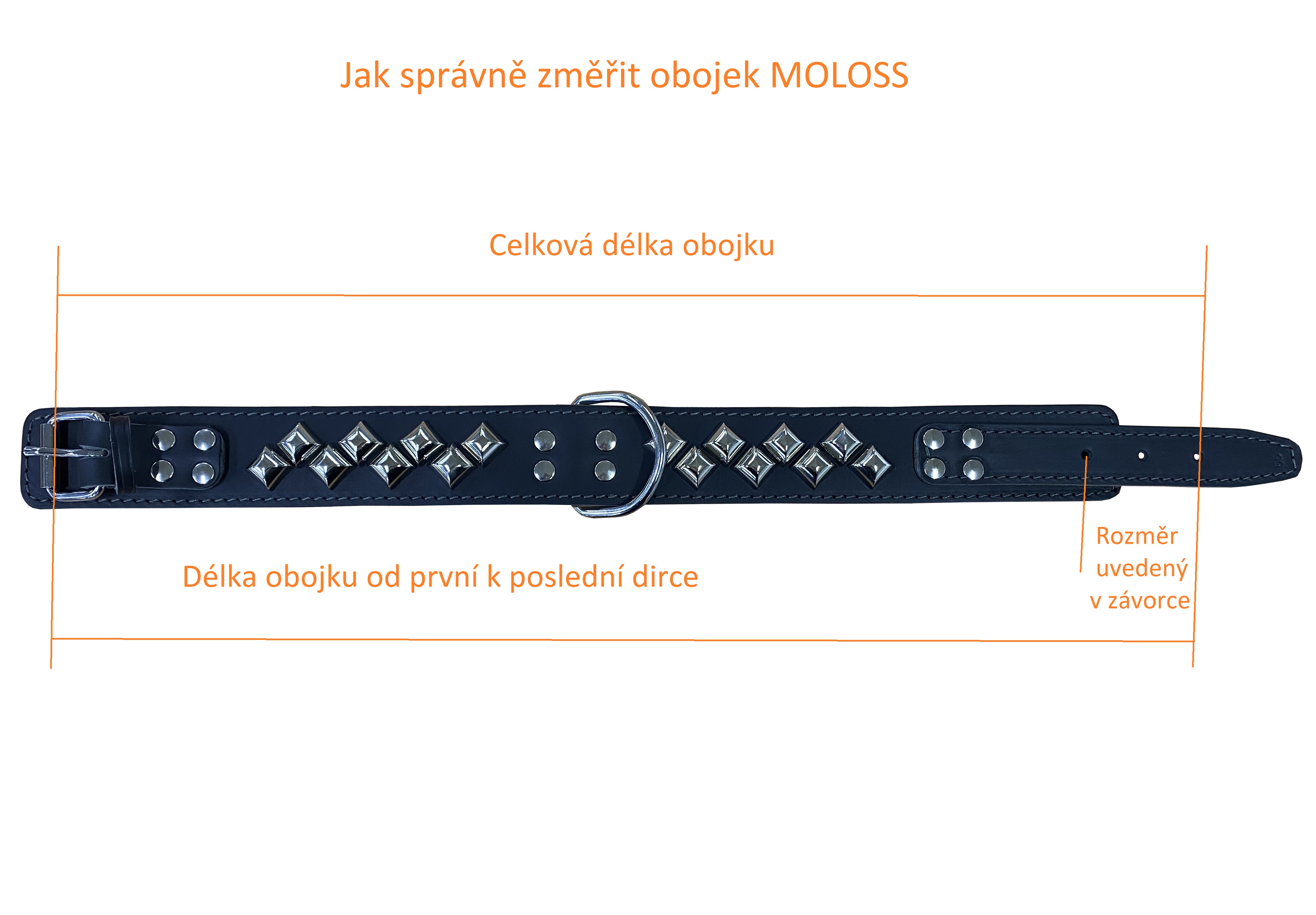BAFPET Kožený obojek MOLOSS, zdobený pyramidami 2ř. Barva: Černá, Rozměr: 50mm x 65cm /60-66/ 08117