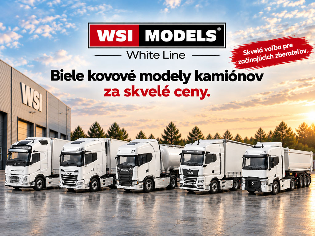 wsimodels-white-line-banner2