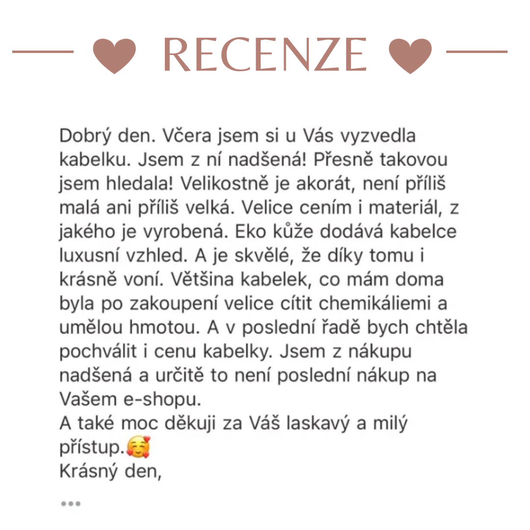 RECENZE