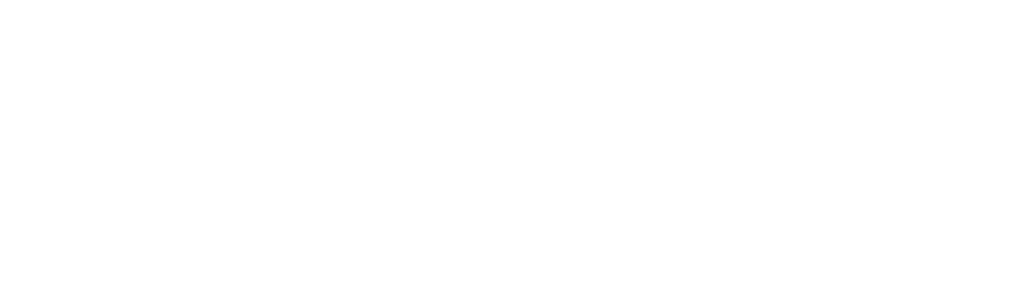 Baggoo