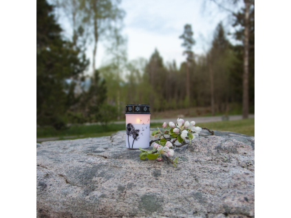 Hřbitovní LED svíčka s časovačem výška 12 cm Star Trading Dandelion - bílá