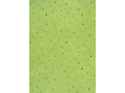 Balicí papír 50x70cm Artebene Green