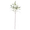 Umělý eukalyptus výška 85 cm Bloomingville - zelený