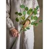 Umělý eukalyptus výška 82 cm Bloomingville - zelený #2